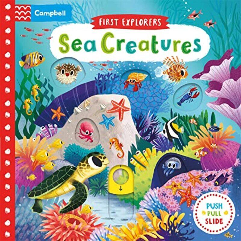 

Sea Creatures (First Explorers),Paperback,By:Campbell Books