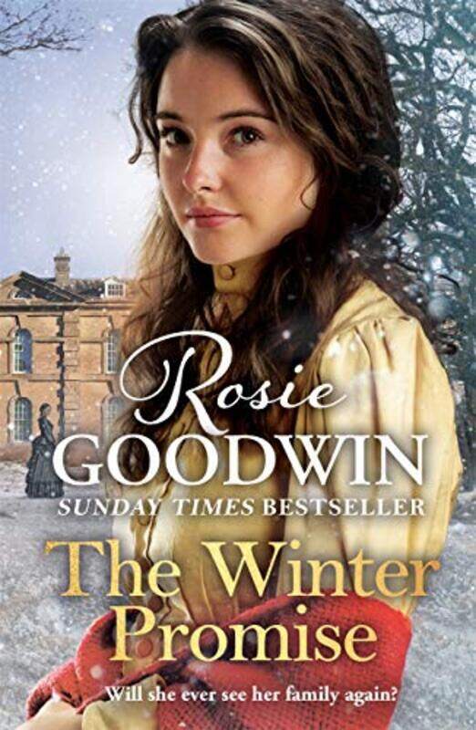 

The Winter Promise by Rosie Goodwin-Hardcover