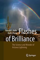 Flashes of Brilliance by Esther RothblumSondra Solovay-Paperback