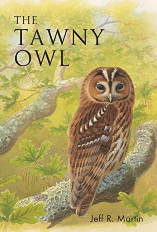 

The Tawny Owl by Joe O'Leary-Paperback