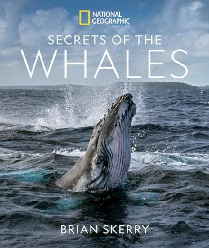 

Secrets of the Whales by Eric Saunders-Hardcover