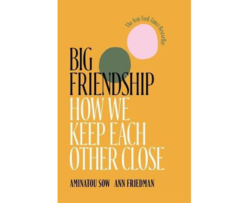 

Big Friendship, Paperback Book, By: Aminatou Sow & Ann Friedman