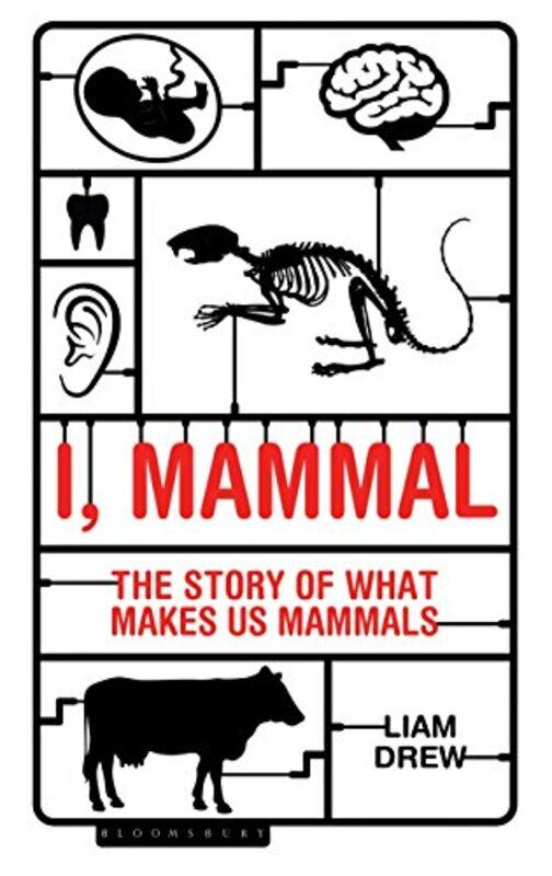 

I Mammal by Liam Drew-Paperback
