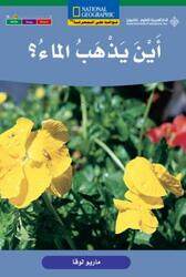 Ayn Yazhab Al Ma' - Where Does the Water Go? (Ar-En).paperback,By :Mario Luka