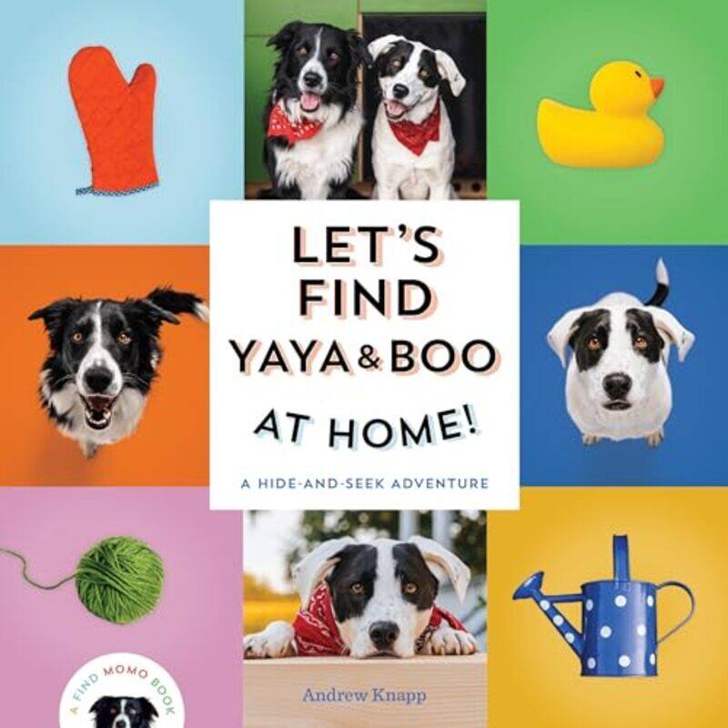 

Lets Find Yaya and Boo at Home A HideandSeek Adventure by Knapp, Andrew - Paperback