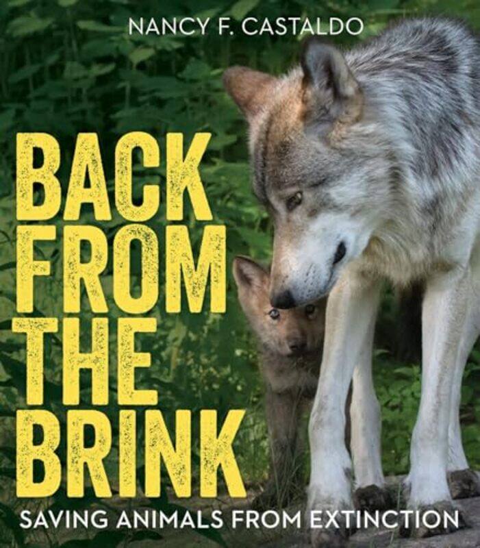 

Back from the Brink by Professor Catrina DenvirDr Jacqueline KinghanDr Jessica MantDr Daniel Newman-Paperback