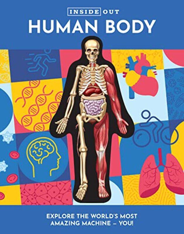 

Inside Out Human Body by Luann Columbo-Hardcover