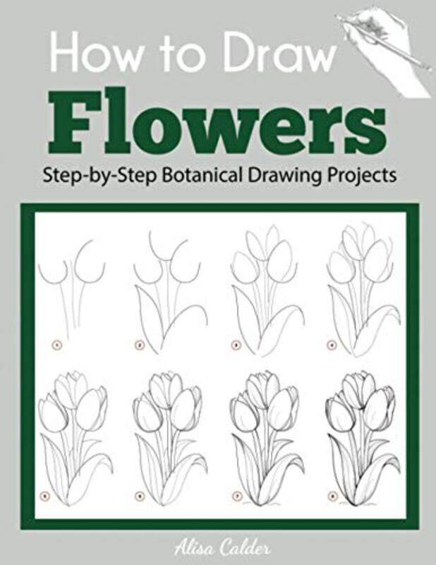 

How To Draw Flowers Stepbystep Botanical Drawing Projects by Calder, Alisa-Paperback