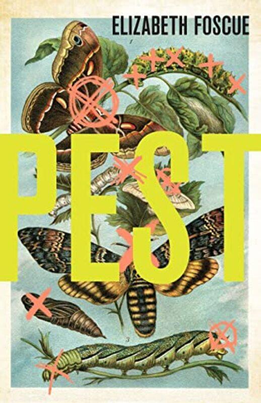 

Pest by Elizabeth Foscue-Paperback