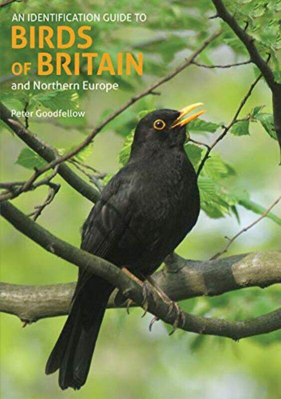 

An Identification Guide to Birds of Britain and Northern Europe 2nd edition by Kay Glasgow Caledonian University UK GuccioneSteve Hutchinson Training