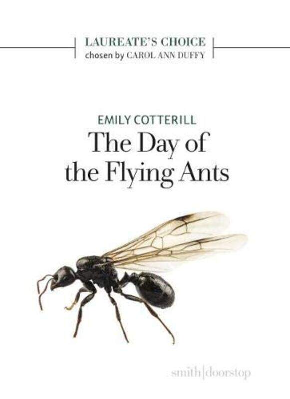 

The Day of the Flying Ants by Emily Cotterill-Paperback