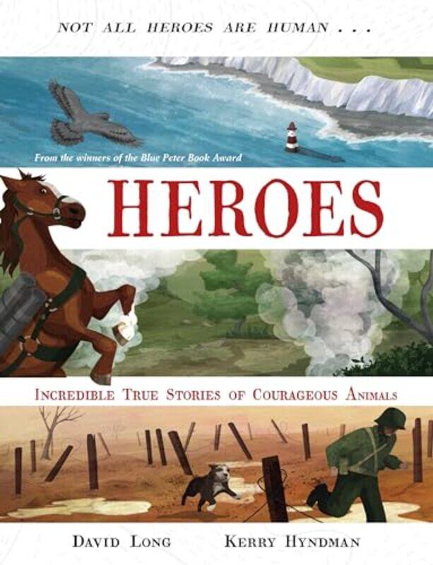 

Heroes by David Author LongKerry Hyndman-Paperback