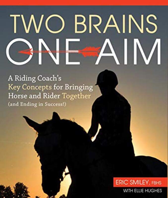 

Two Brains One Aim by Huw Aaron-Paperback