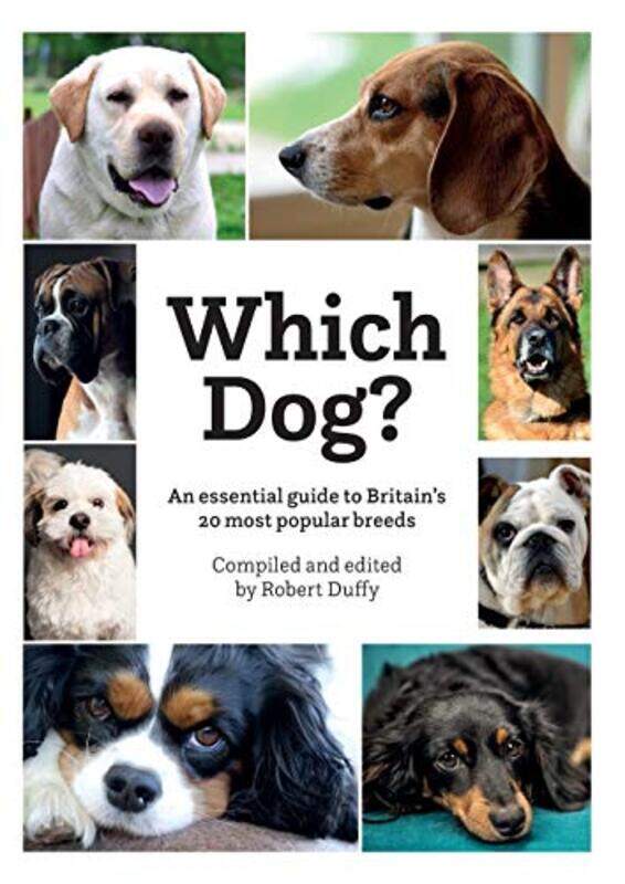 

Which Dog by DK-Paperback
