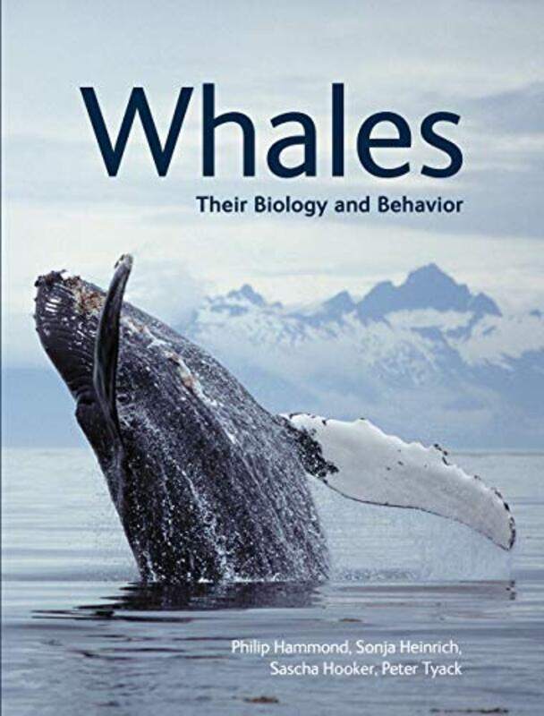 

Whales By Hammond Phillip - Paperback