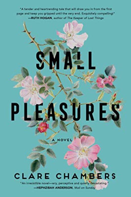 

Small Pleasures by Clare Chambers-Paperback