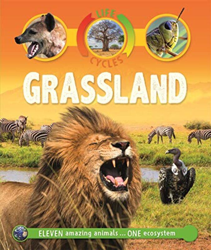 

Life Cycles Grassland by Callery, Sean - Paperback