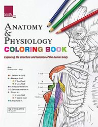 Anatomy & Physiology Colouring Book Exploring The Structure & Function Of The Human Body by Scientific Publishing Paperback