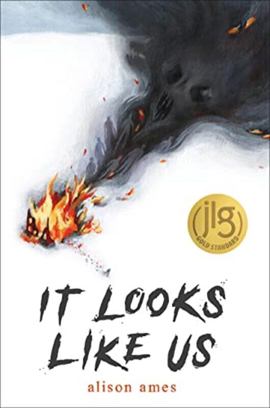

It Looks Like Us by Alison Ames-Hardcover