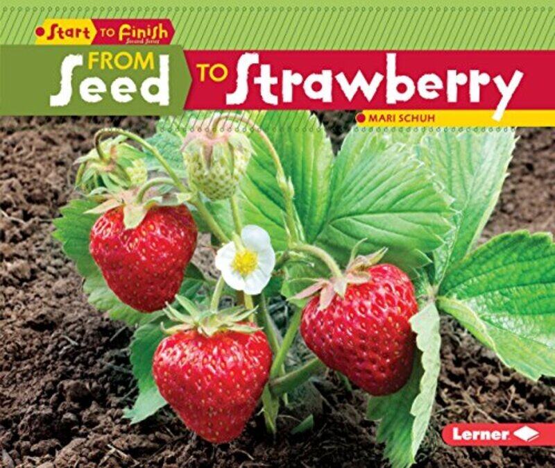 

From Seed To Stawberry By Schuh Mari - Paperback