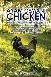Ayaayam Cemani Chickenthe Indonesian Black Hen. A Complete Owners Guide To This Rare Pure Black