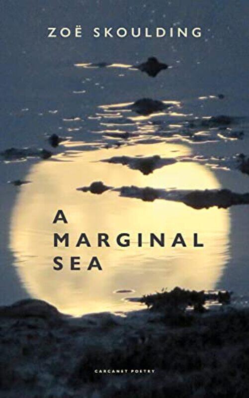 

A Marginal Sea by Zoe Skoulding-Paperback