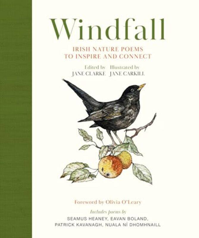 

Windfall by Jane ClarkeJane Carkill-Hardcover