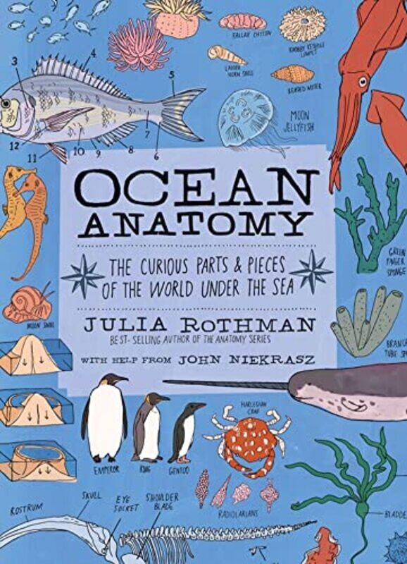 

Ocean Anatomy by Jessica Benjamin-Paperback