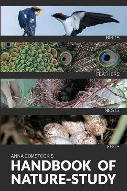 

The Handbook Of Nature Study in Color Birds by Anna B Comstock-Paperback