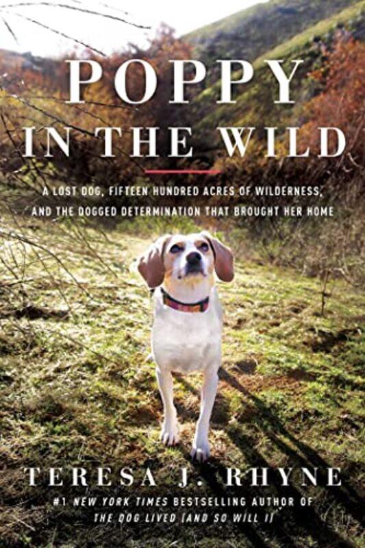 

Poppy in the Wild by Richard Florida-Paperback