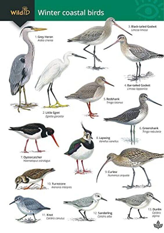 

Guide to winter coastal birds by Sue LoughranMike Langman-Paperback