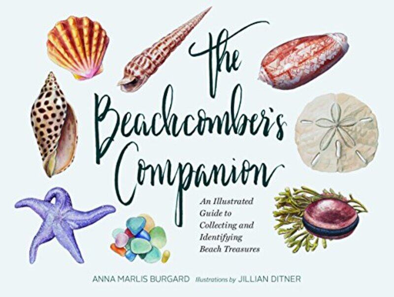 

Beachcombers Companion by Jillian Dittner-Hardcover
