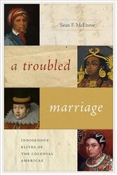 A Troubled Marriage by Sean F McEnroe-Paperback