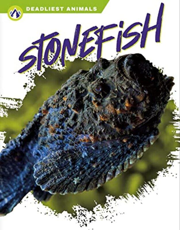 

Deadliest Animals Stonefish by Claudio BaraldiLucia Rabello De Castro-Hardcover