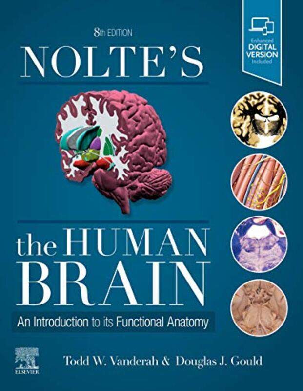 

Noltes The Human Brain by Adam J Berinsky-Paperback