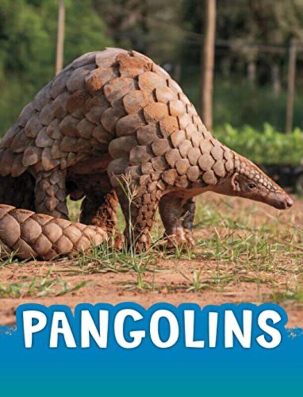 

Pangolins by Harriet Brundle-Hardcover