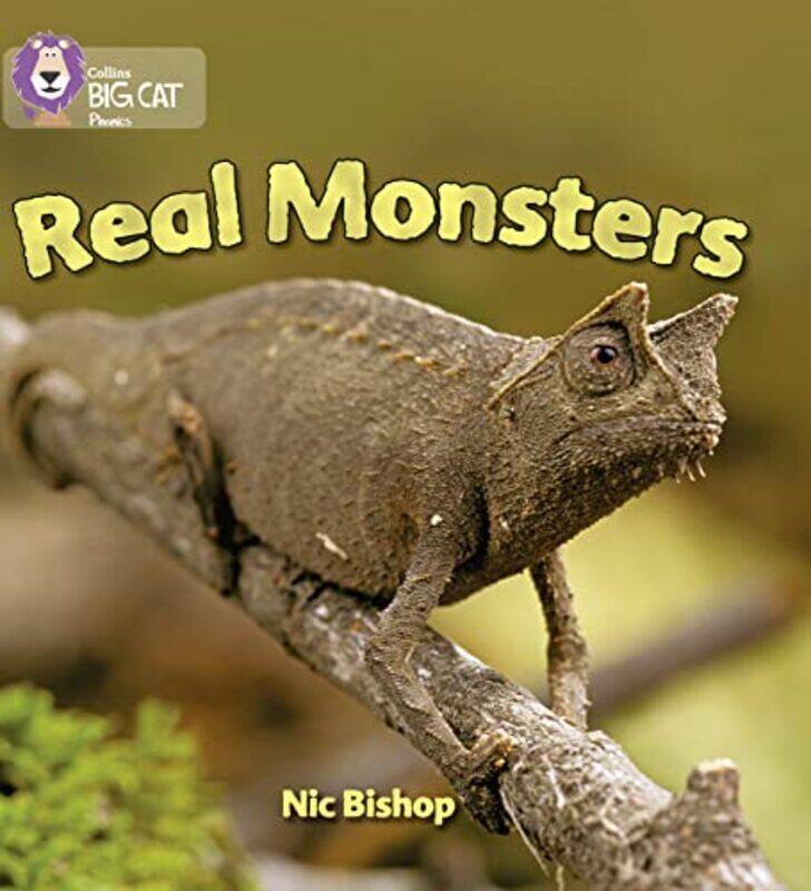 

Real Monsters by Angela Stienne-Paperback