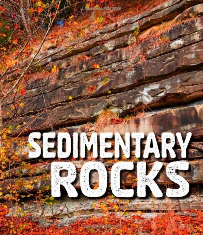 

Sedimentary Rocks by Ava Sawyer-Paperback