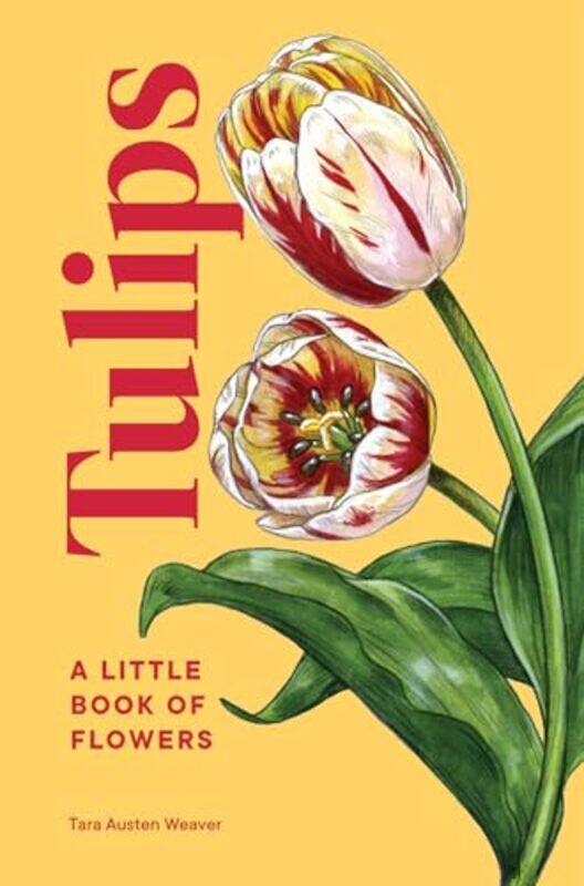 

Tulips by Sue Maggs-Hardcover