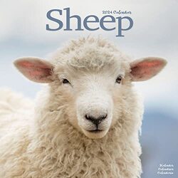 Sheep Wall by  Carousel Calendars Paperback