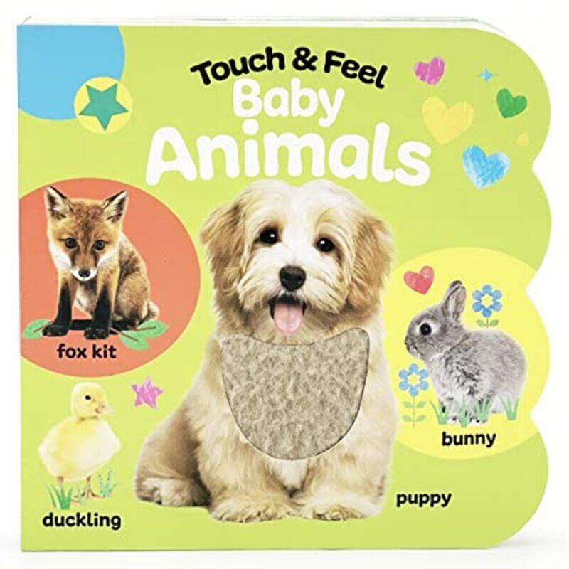 

Touch & Feel Baby Animals By Cottage Door Press - Nestling, Rose - Galloway, Fhiona - Paperback