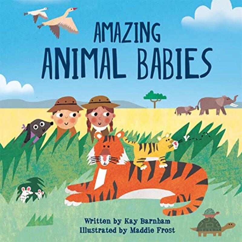 

Look and Wonder Amazing Animal Babies by Kay BarnhamMaddie Frost-Hardcover