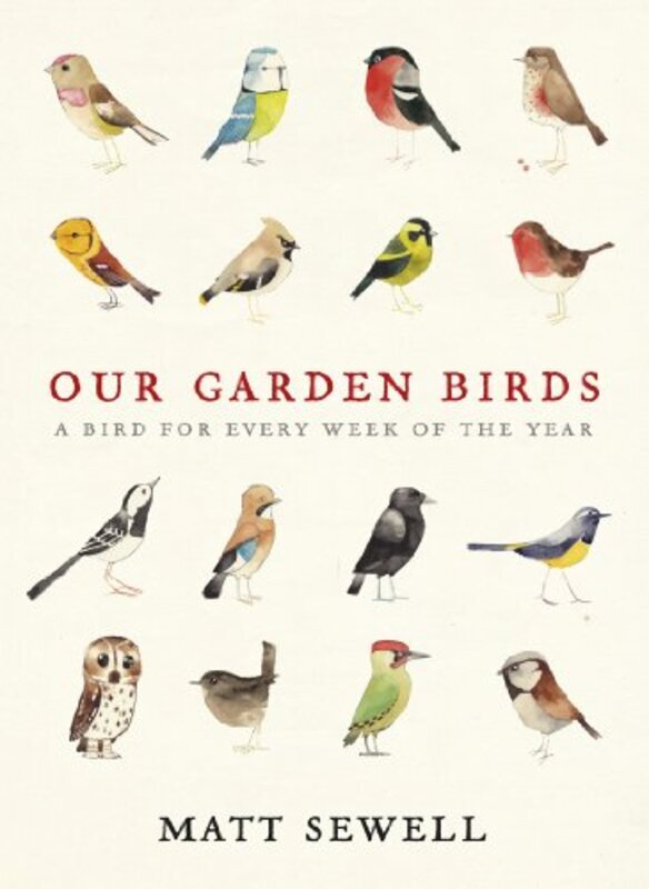 

Our Garden Birds: a stunning illustrated guide to the birdlife of the British Isles , Hardcover by Sewell, Matt