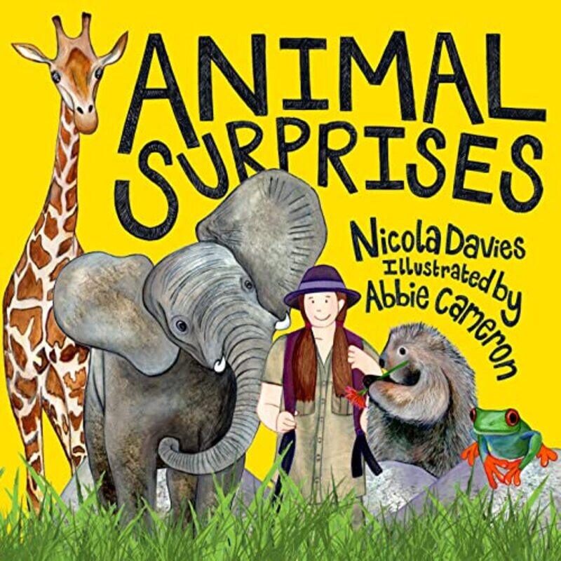 

Animal Surprises by Nicola DaviesAbbie Cameron-Paperback