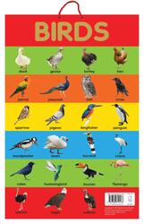 Birds - Early Learning Educational Posters for Children: Perfect for Kindergarten, Nursery and Homes, Paperback Book, By: Wonder House Books