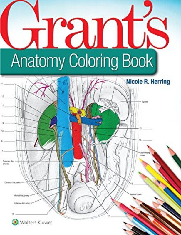 

Grants Anatomy Coloring Book by Deborah Schneebeli-Morrell-Paperback