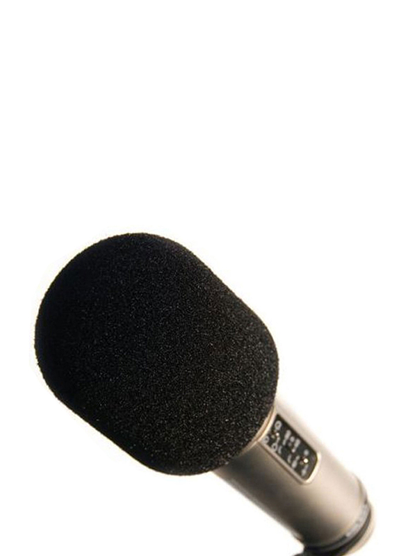 Rode WS2 Microphone Pop Filter/Wind Shield for NT1-A, NT2-A, NT1000, NT2000, NTK, K2 and Broadcaster Microphones, Black