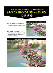 Nikon AF-S DX Nikkor 35MM f/1.8G Lens for Nikon DSLR Cameras, Black
