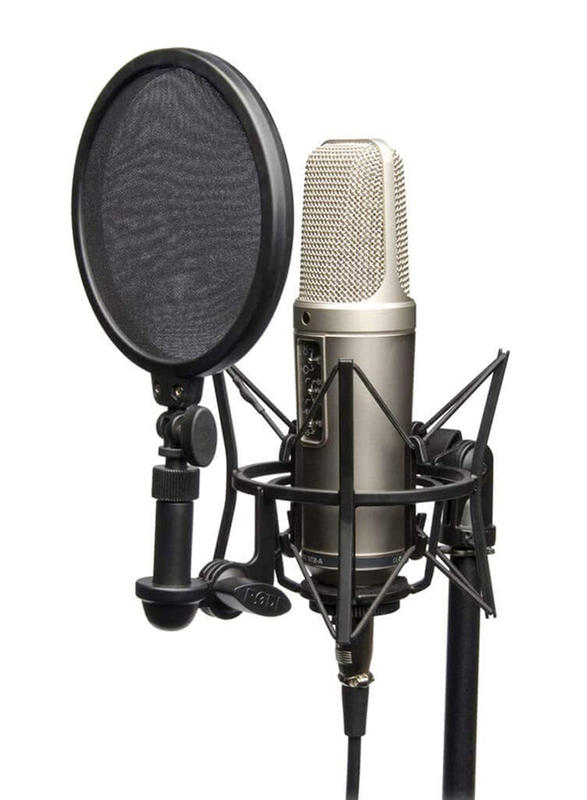 Rode NT2-A Multi Pattern Dual 1 Condenser Microphone, Silver/Black