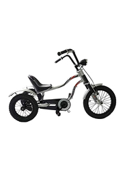 Mogoo 3-Wheel Unisex Tricycle, MG 16, Silver/Black